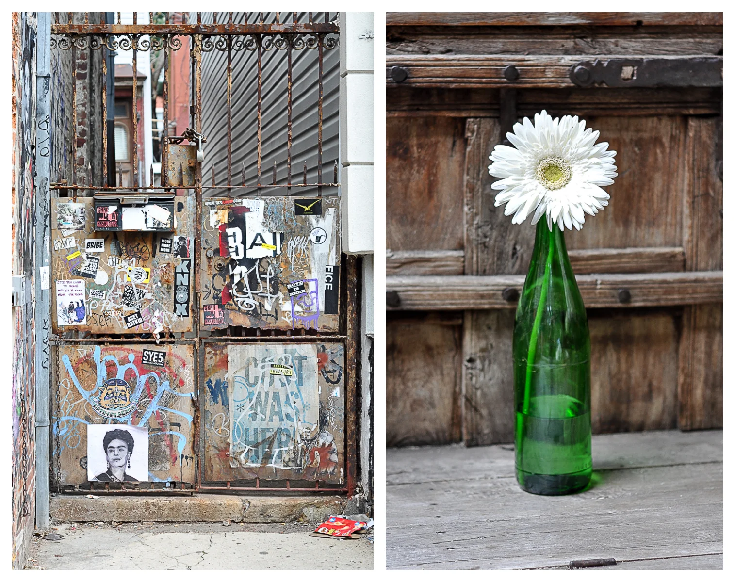 Brooklyn - flower.jpg