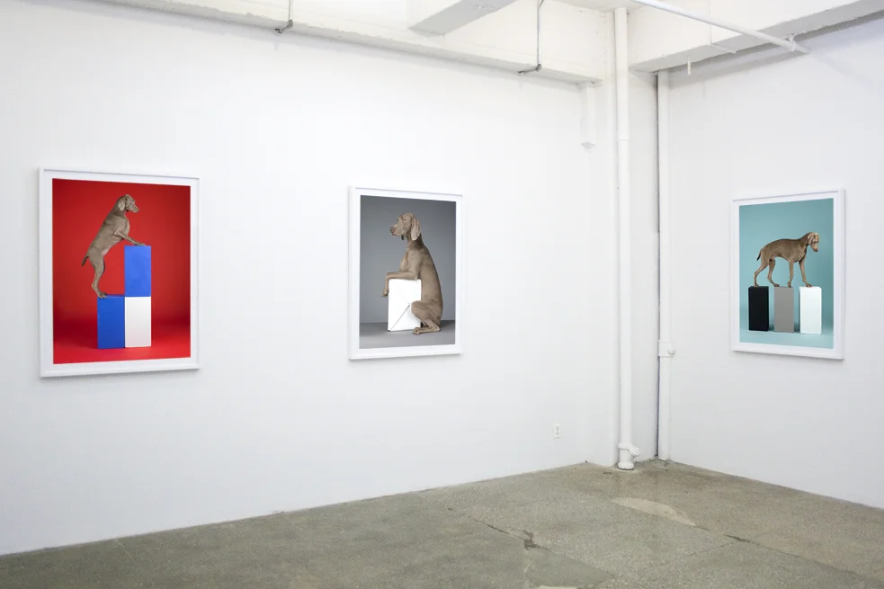 William Wegman: Cubism and other -isms