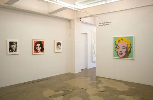 Installation View: Elizabeth Peyton and Andy Warhol