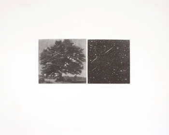 The-View-(Tree-and-Sky).jpg