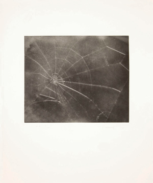 web-09.jpg