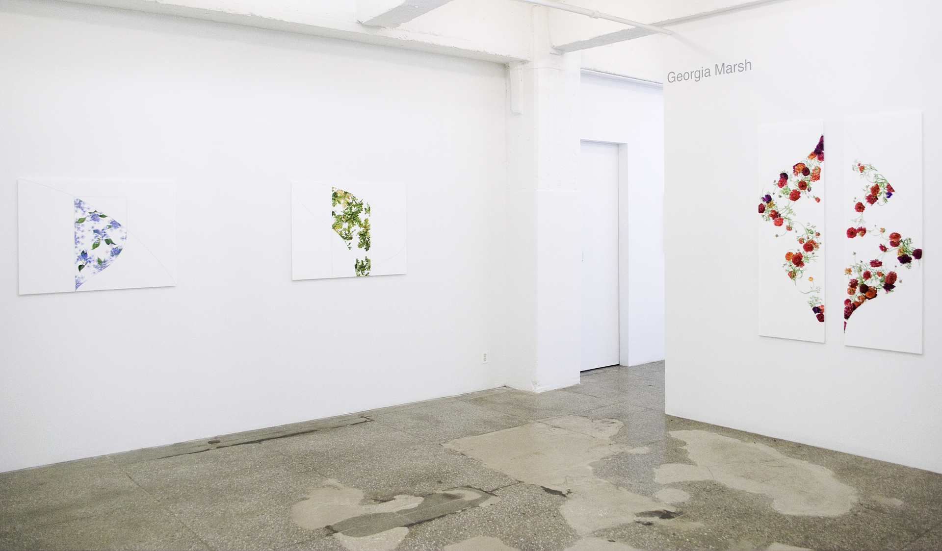 Installation View: Georgia Marsh: Archives of Eden
