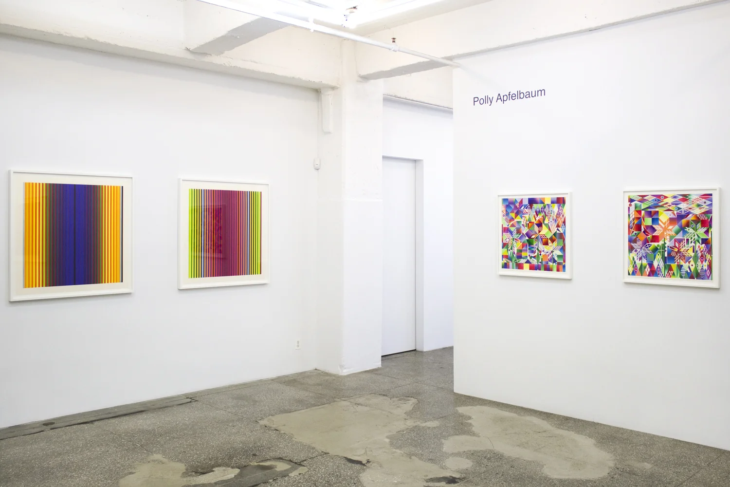 Installation View: Polly Apfelbaum: Atomic Mystic Portraits