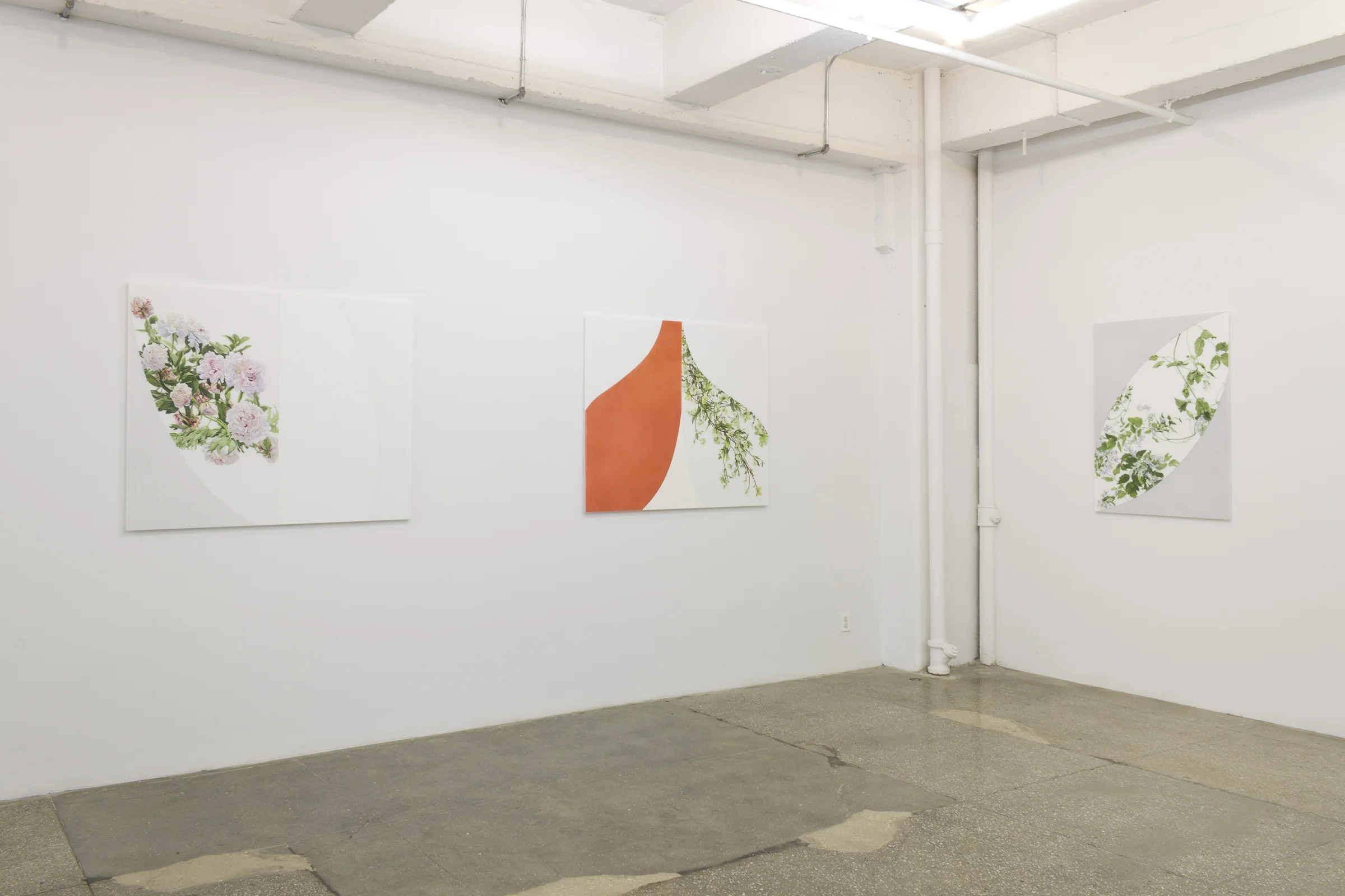 Installation Views: Georgia Marsh: Arc Paintings