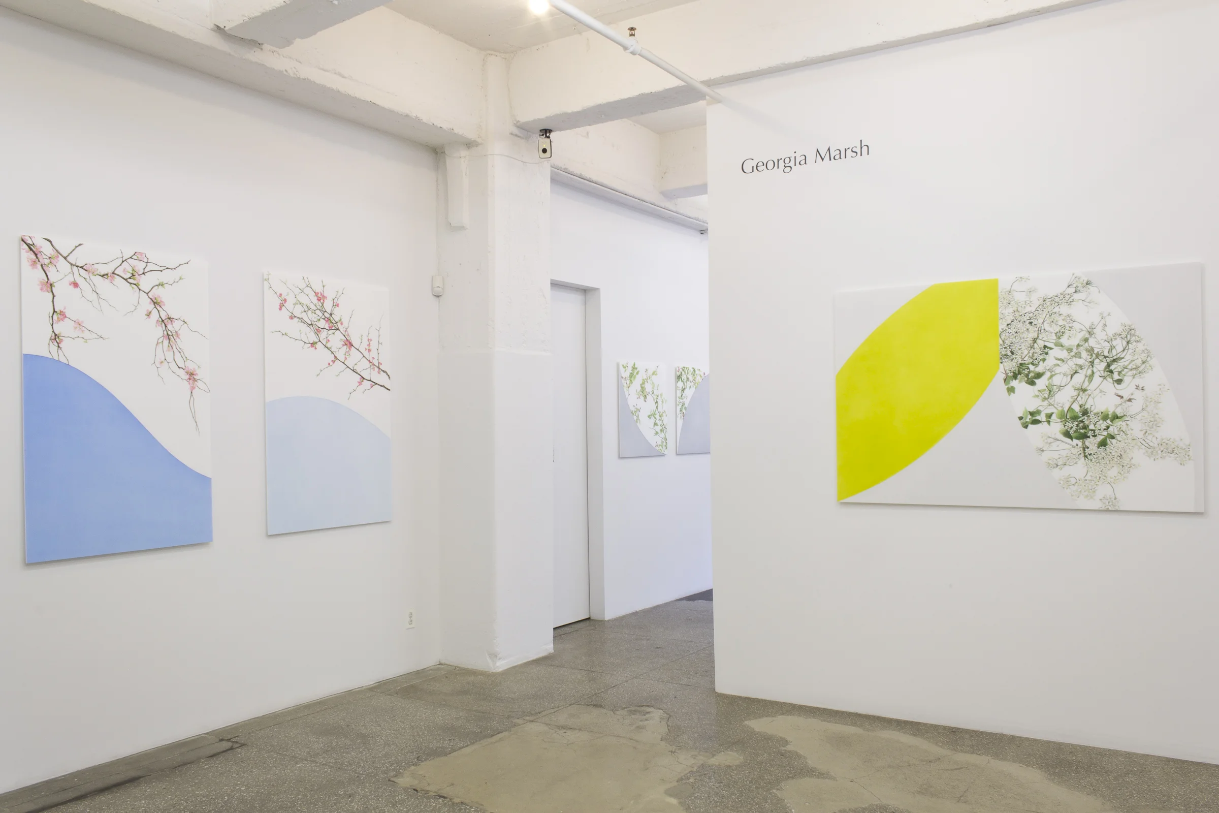 Installation View: Georgia Marsh: Arc Paintings