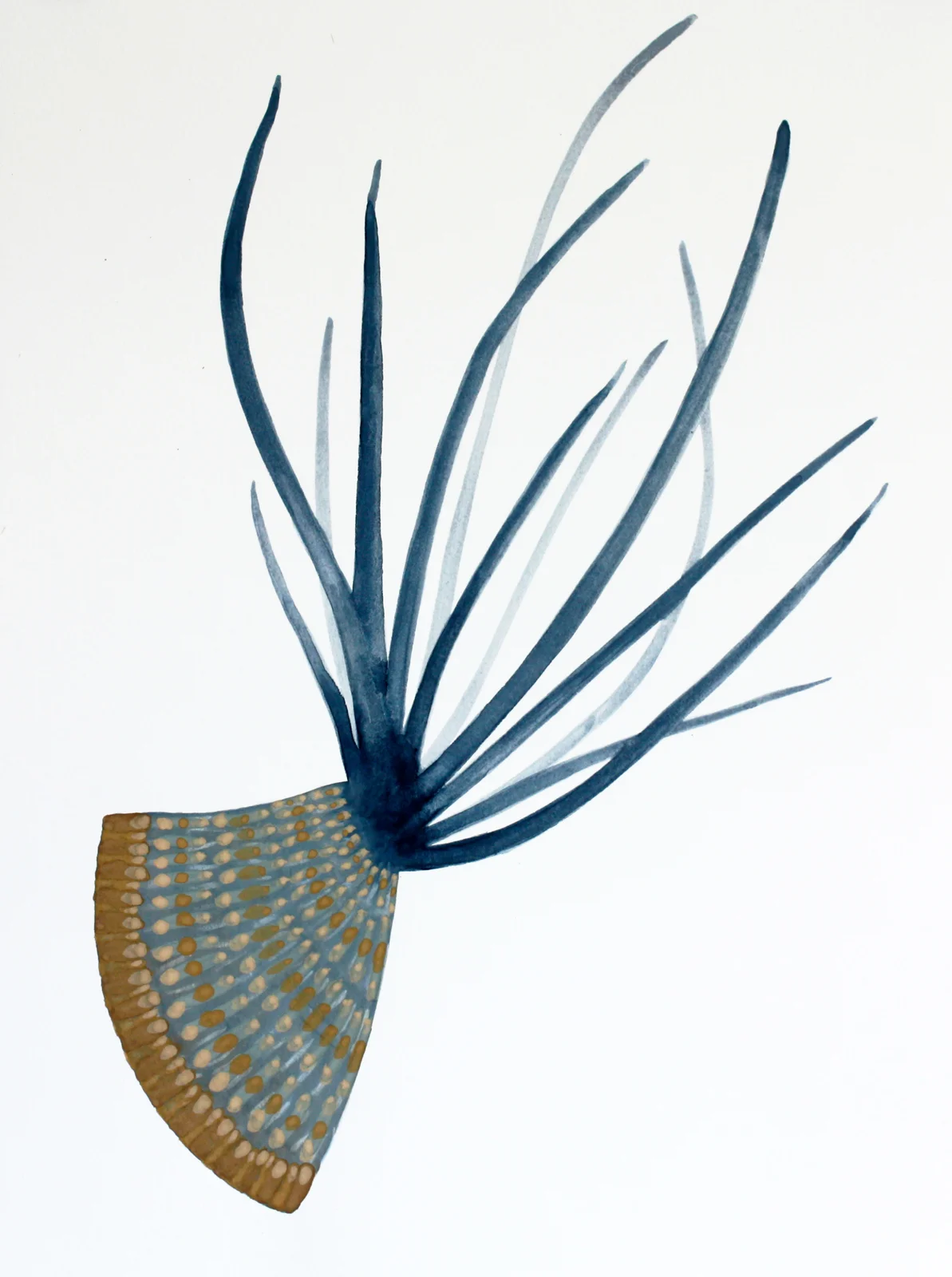 Plantitas (New World Observations), 4