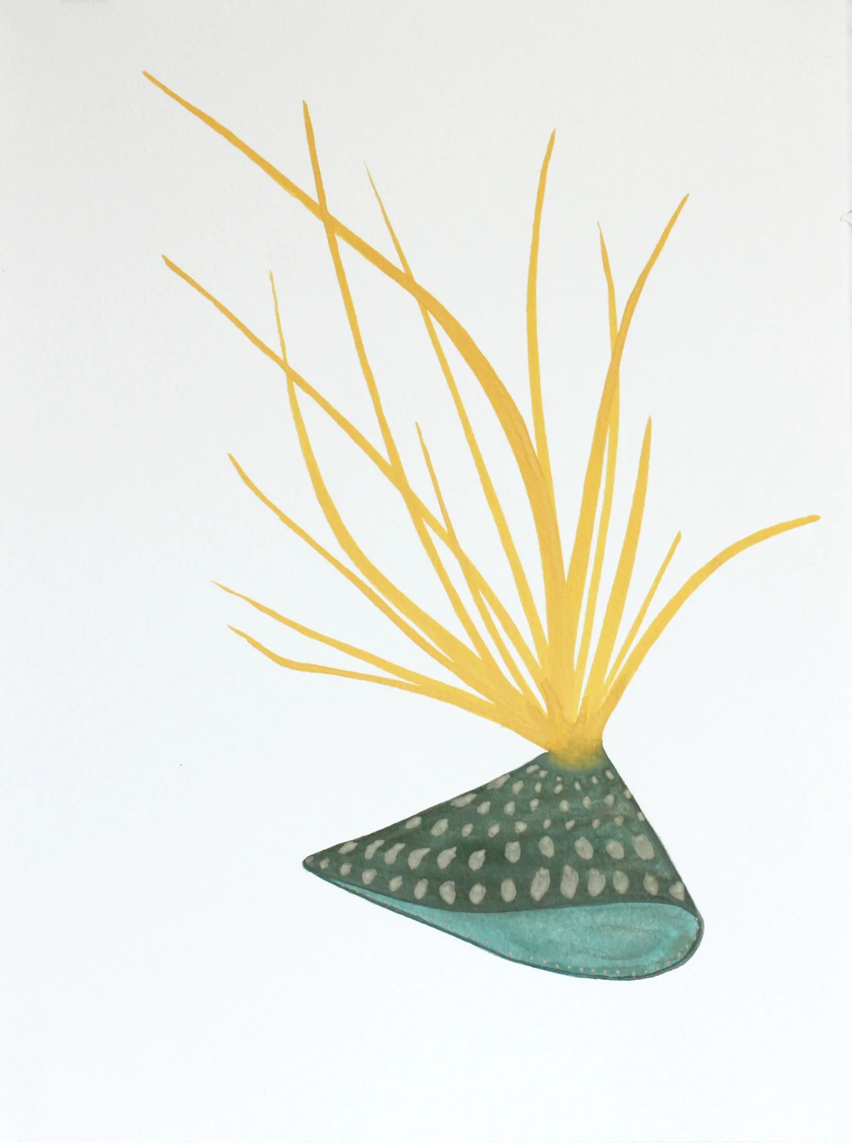 Plantitas (New World Observations), 5