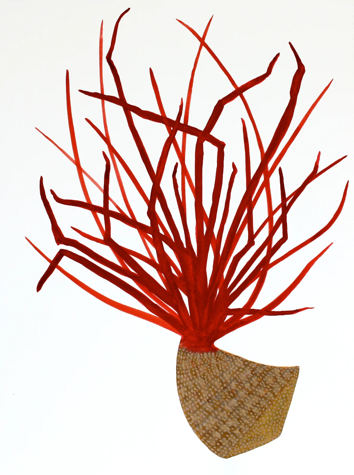 Plantitas (New World Observations), 11