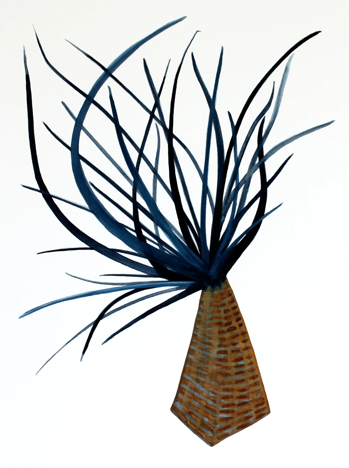 Plantitas (New World Observations), 13