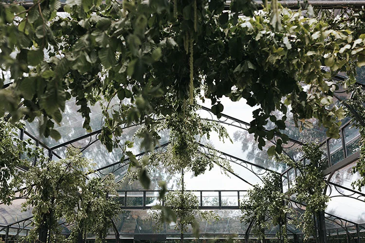 hanging foliage canopy with summer foliage for an elegant London wedding