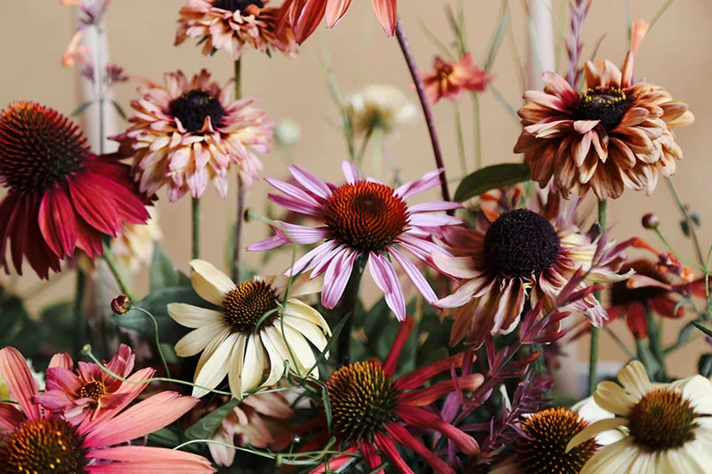 vervain-autumnal-table-design-workshop-13-small.jpg