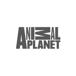 animal-planet.webp