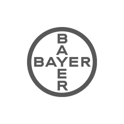 bayer.webp