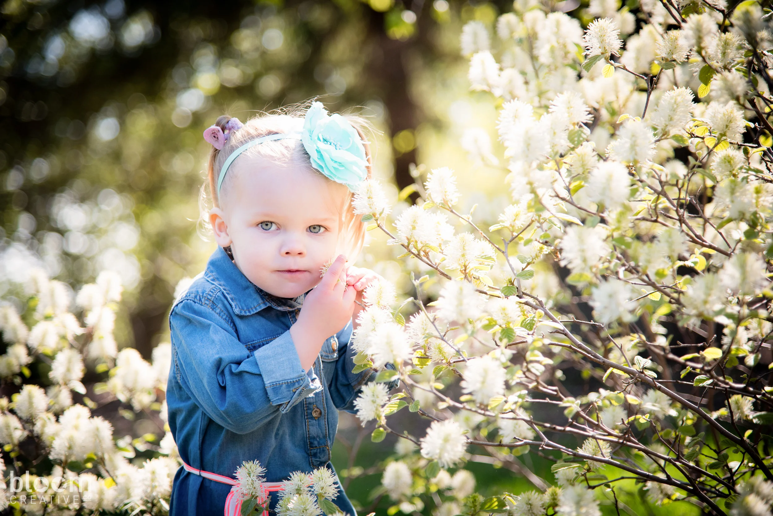BloomCreativeCo-BLOG-2.jpg