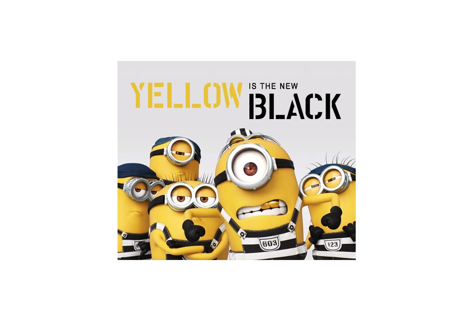 YNB_banner_2.jpg