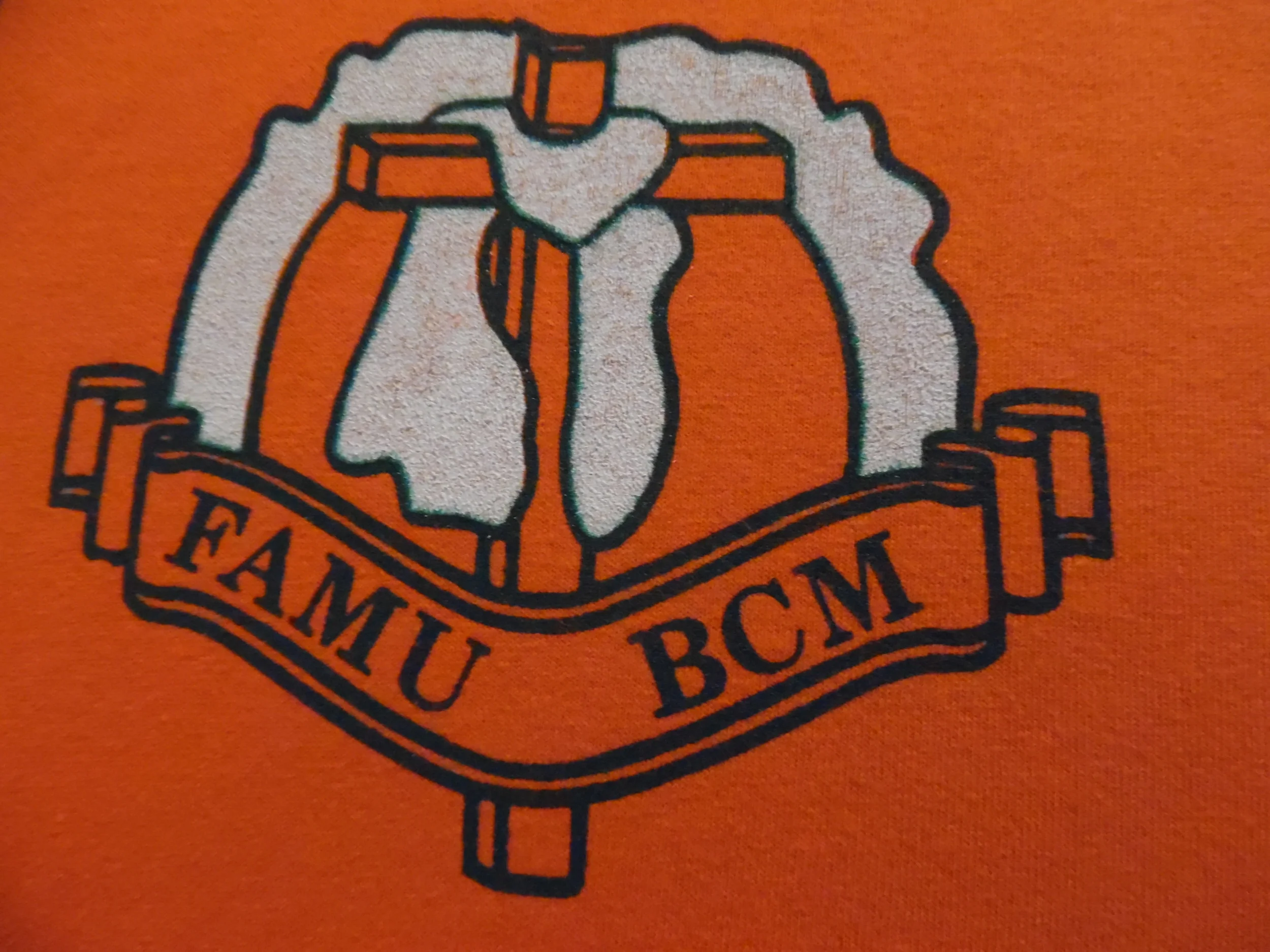 FAMU BCM Logo_T-Shirt.JPG
