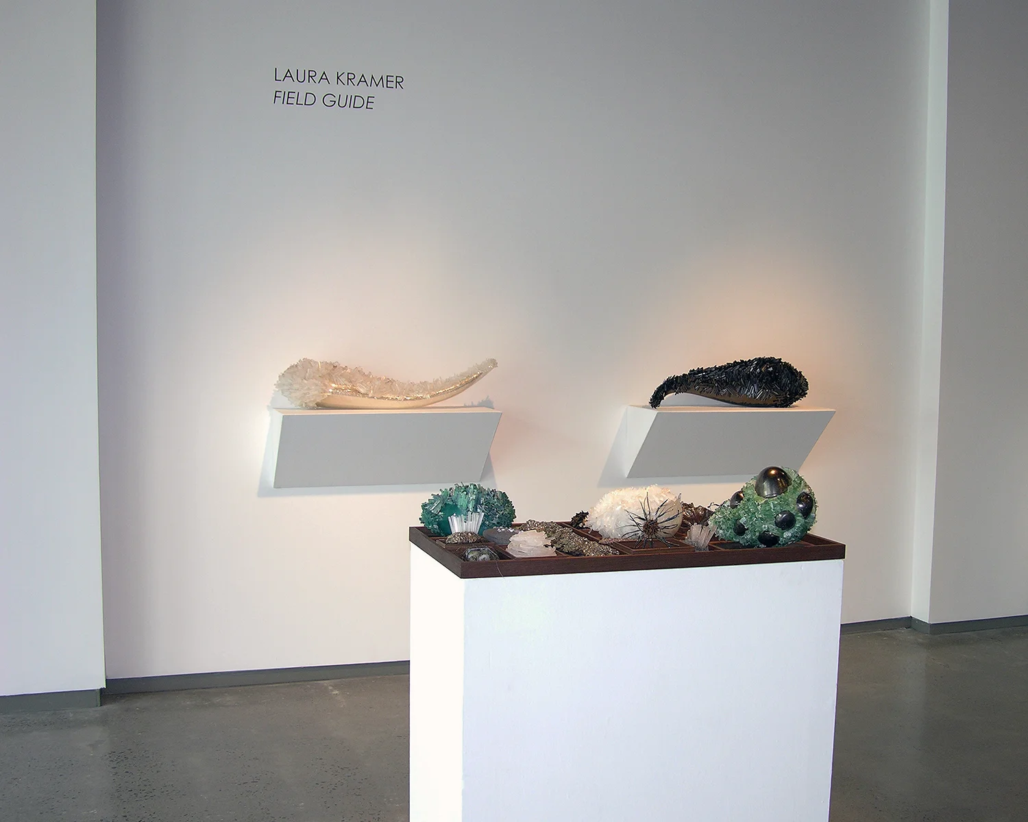 view 1_Kramer_Laura.jpg