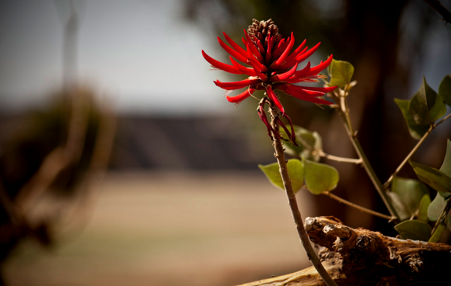 Captura de pantalla 2015-06-24 a la(s) 20.52.26.png