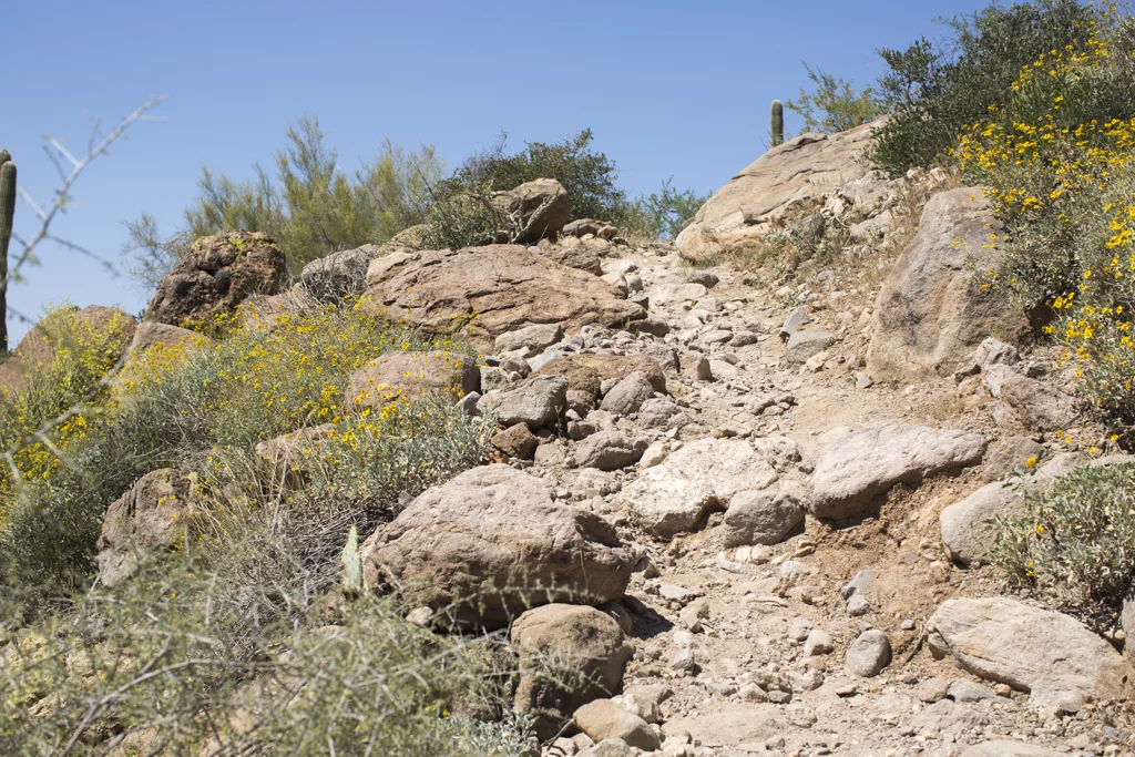 trail near Picketpost TH