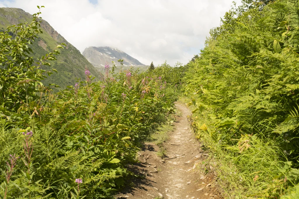 dsharp_alaska-2798.jpg