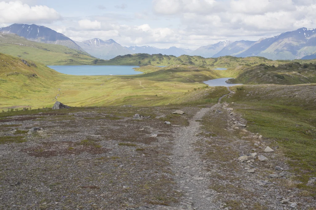 dsharp_alaska-2933.jpg