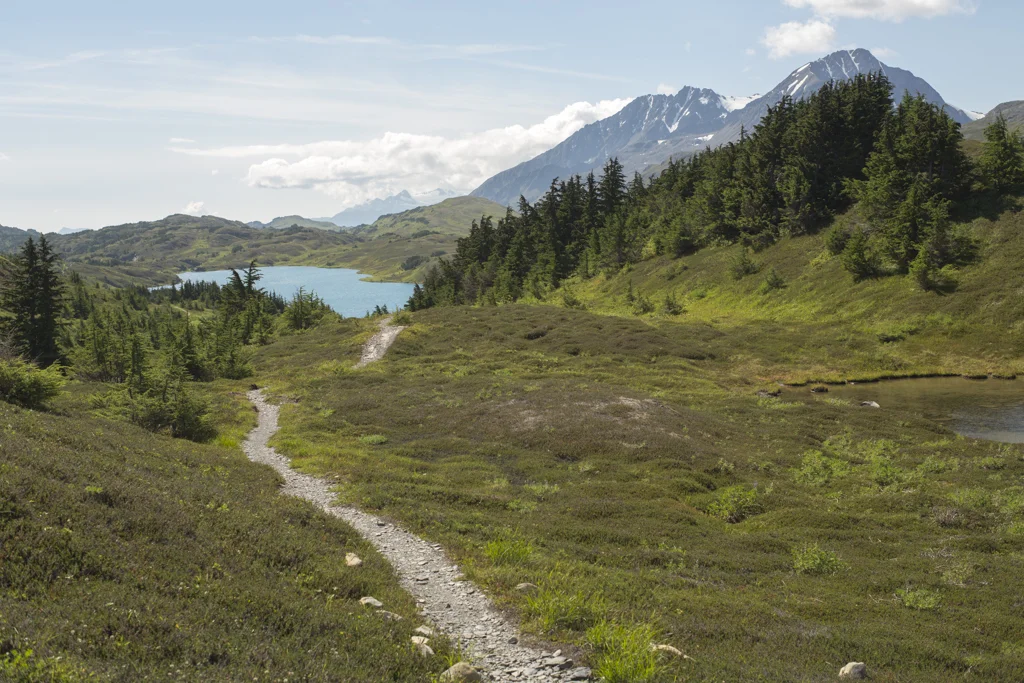 dsharp_alaska-3132.jpg
