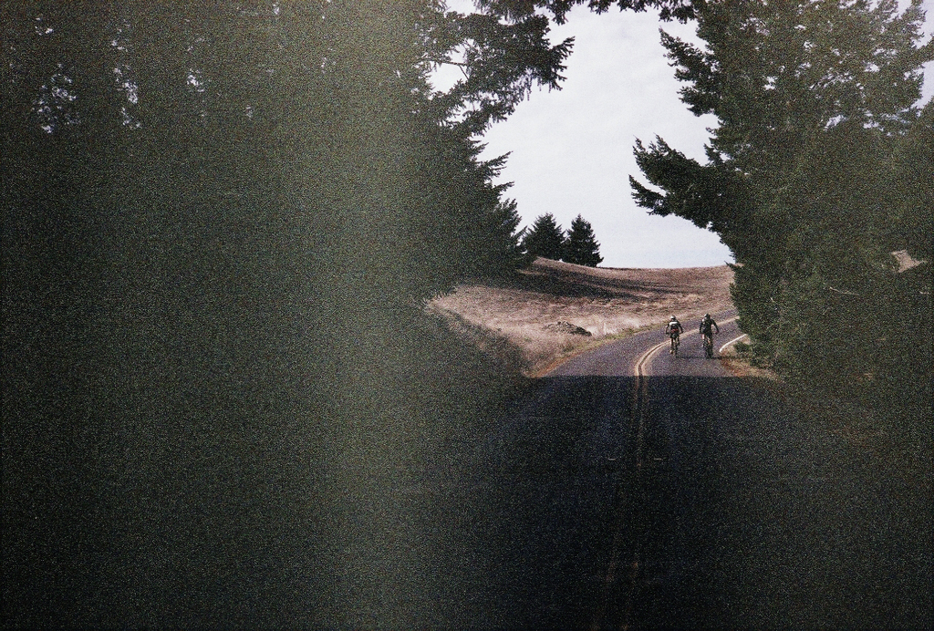 Mt. Tam Road Climb