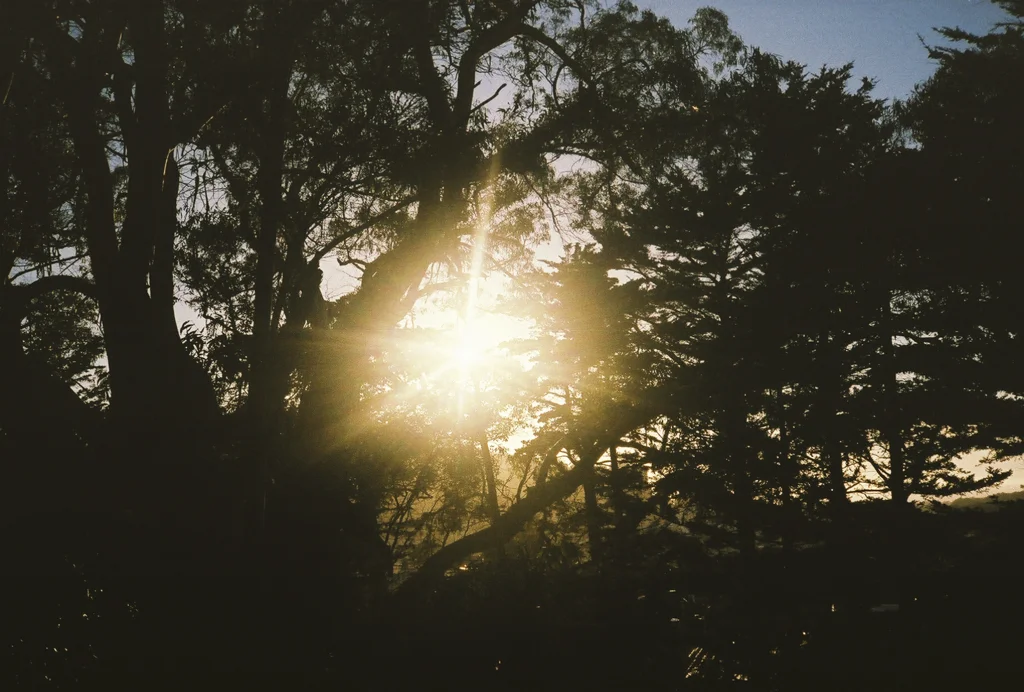 California sunshine