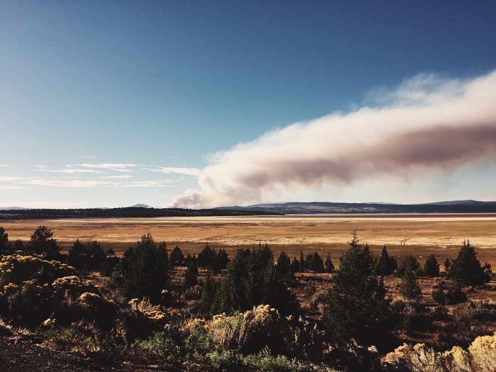  wildfire (photo by Goo) 