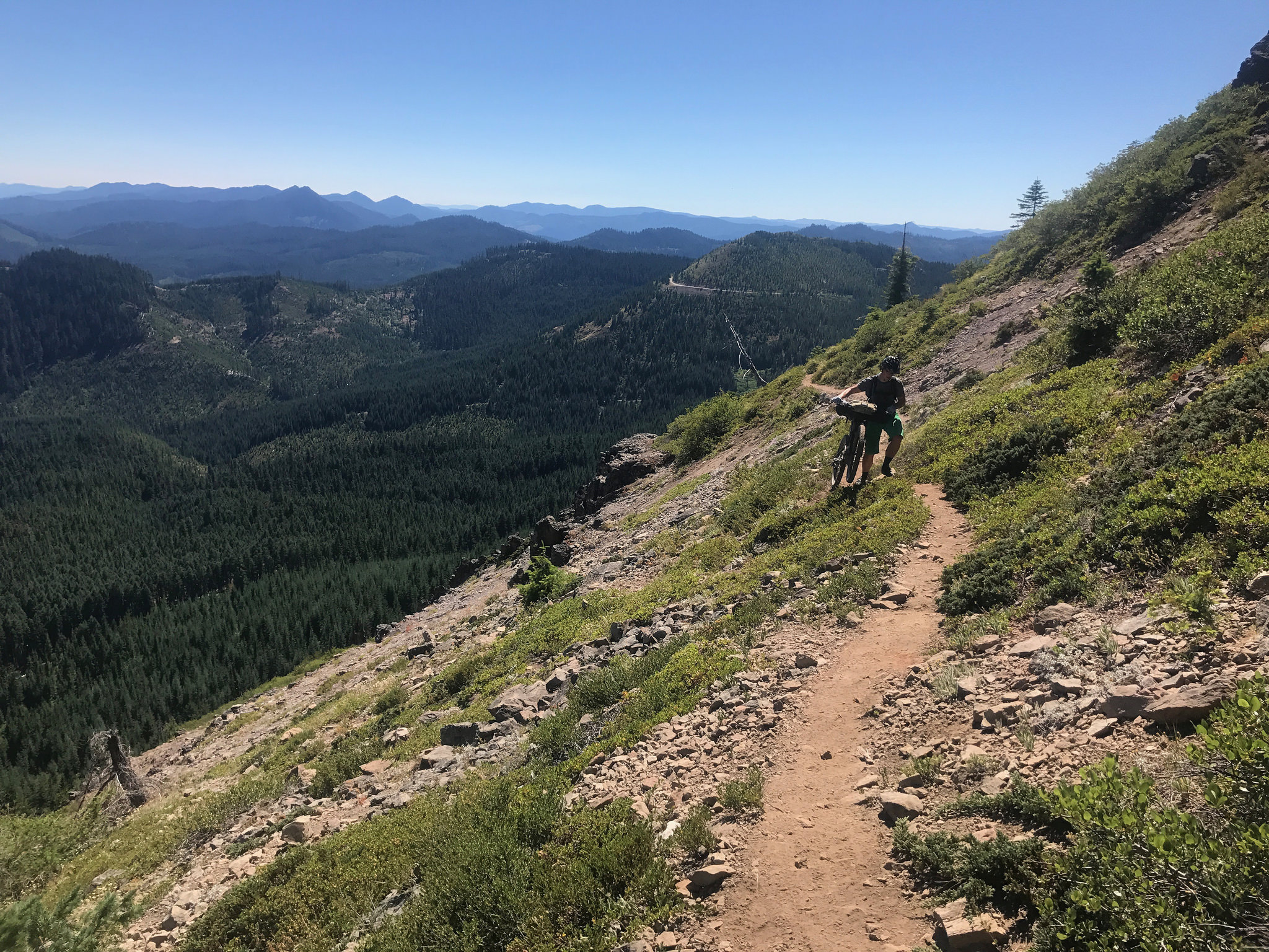 Oregon Timber Trail — benedicto