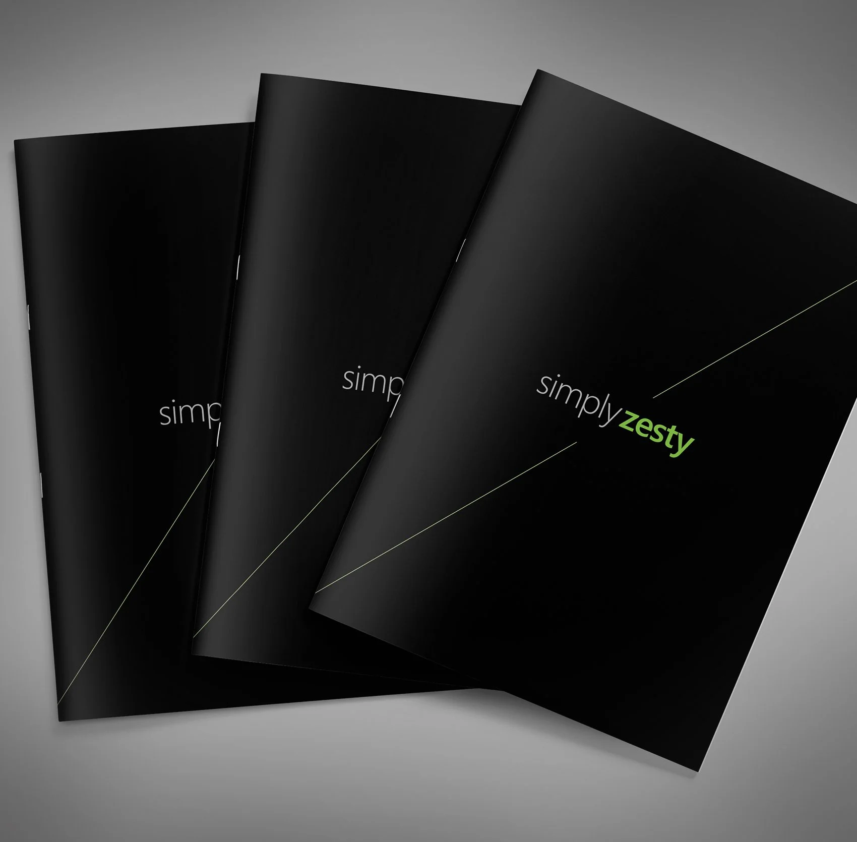 Squarespace_HomePageThumbs_new_2022_Size 3_SZIndDoc.jpg