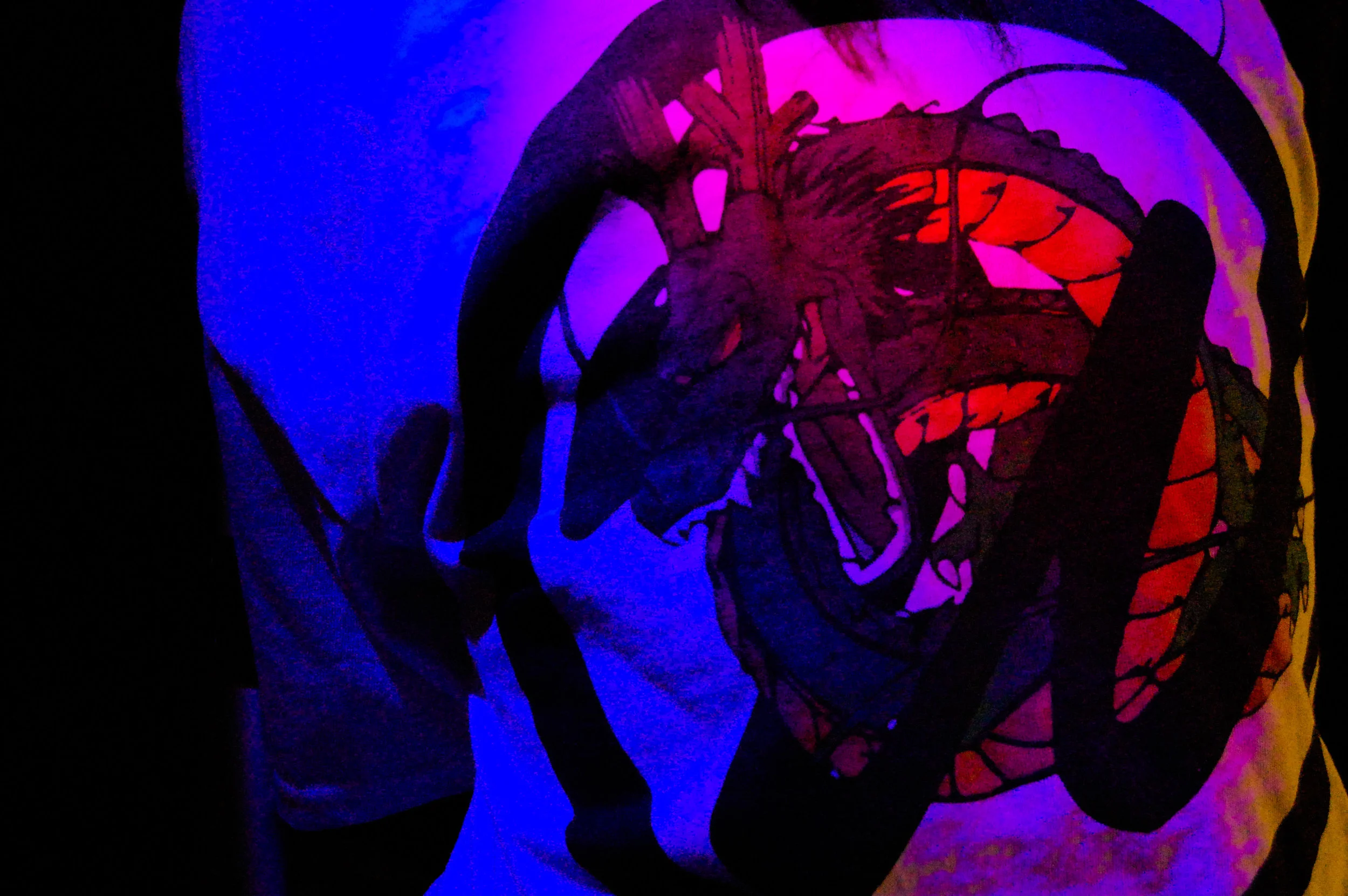 DBZ BACK LOOKBOOK OFFICIAL.jpg