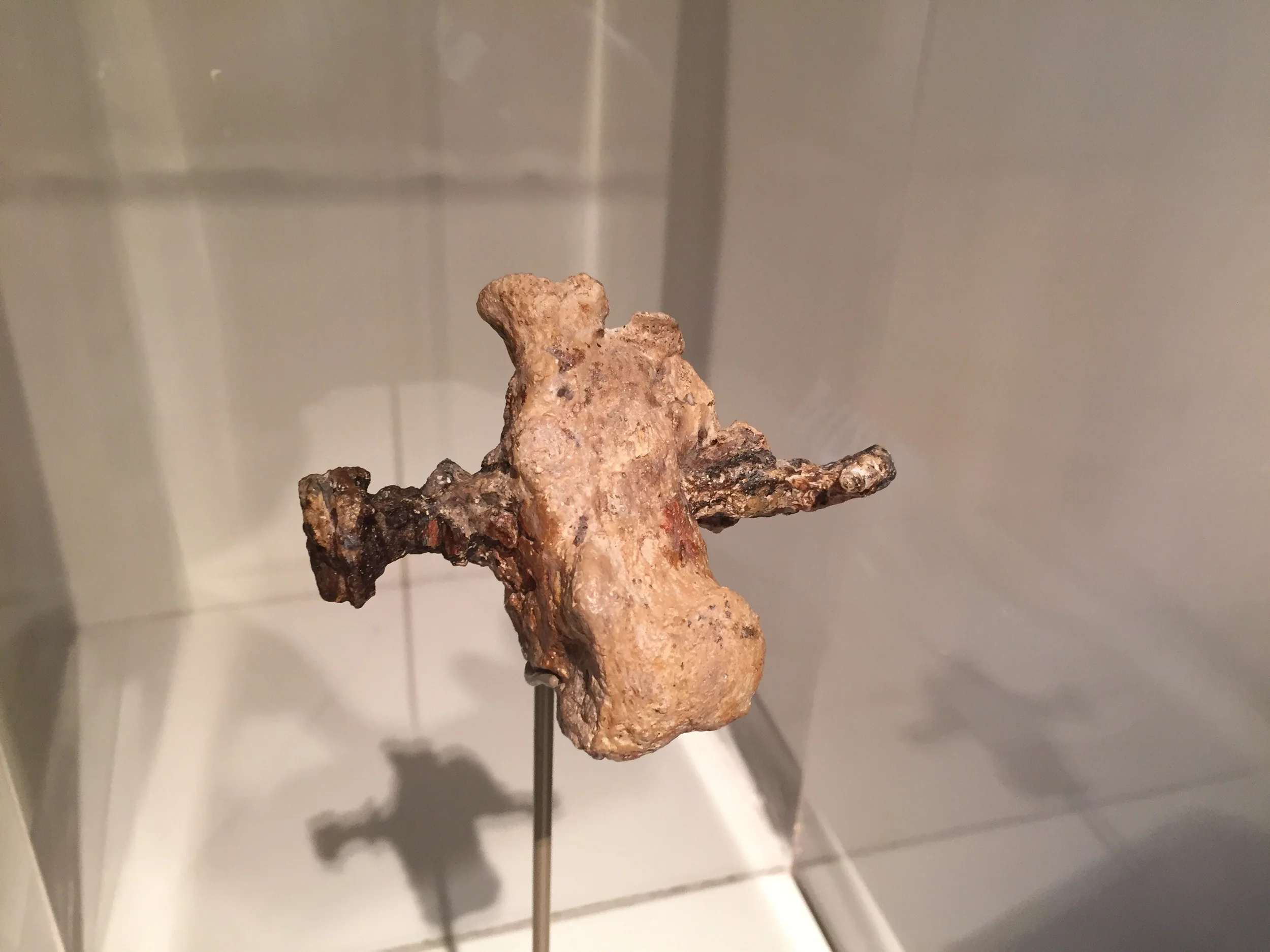 In the 1970s in north Jerusalem, and ossuary was found which contained the remains of a first century man who had been crucified. One of the heel bones still had an iron stake driven through it. The heel and nail in this picture are a copy, however, the inscribed ossuary the heel was found in is original.
