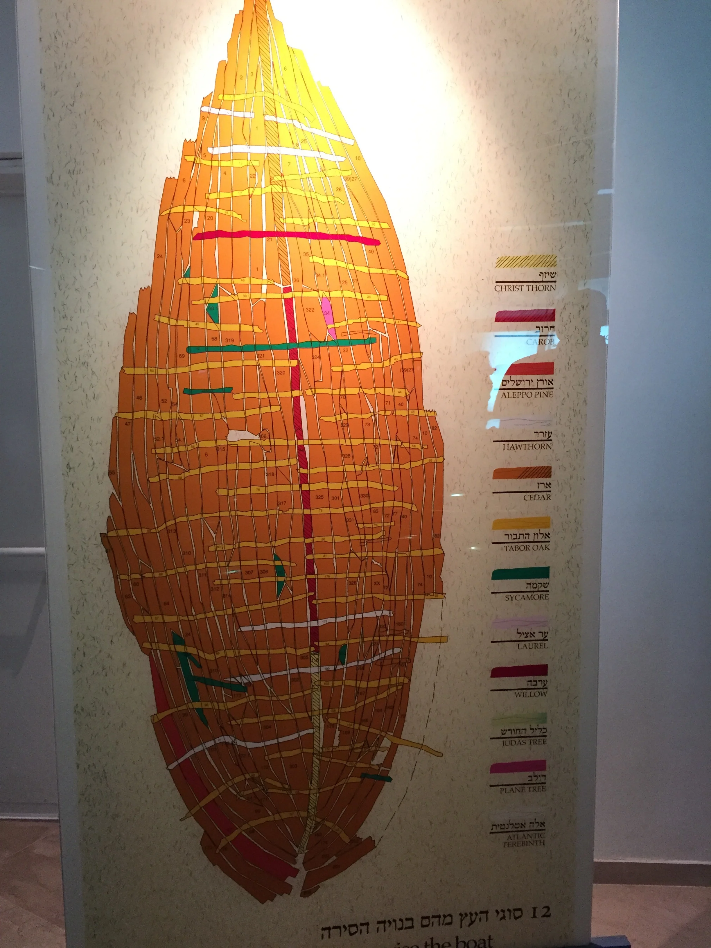 Diagram of wood species used to construct this boat. This is a vertical picture. Right click on the image and select "Open Image in New Tab".