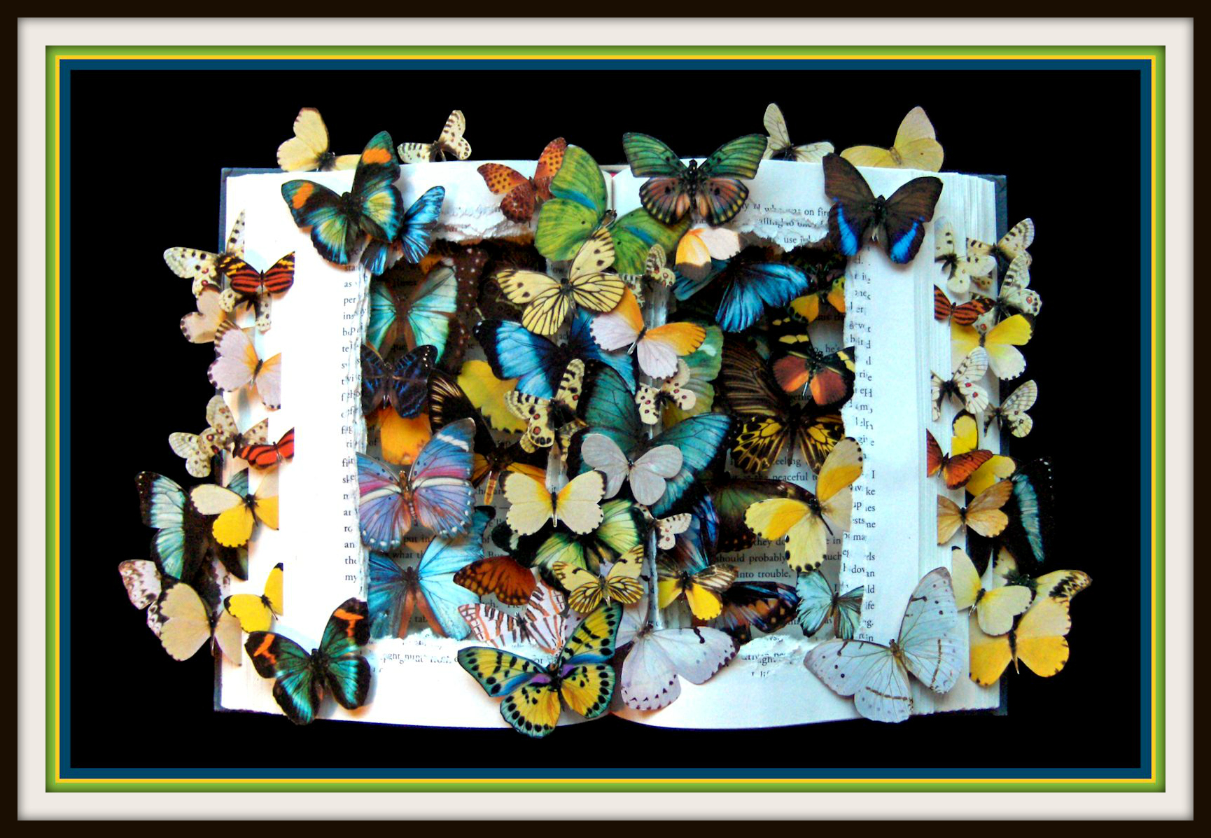 Butterflies1Sample.jpg