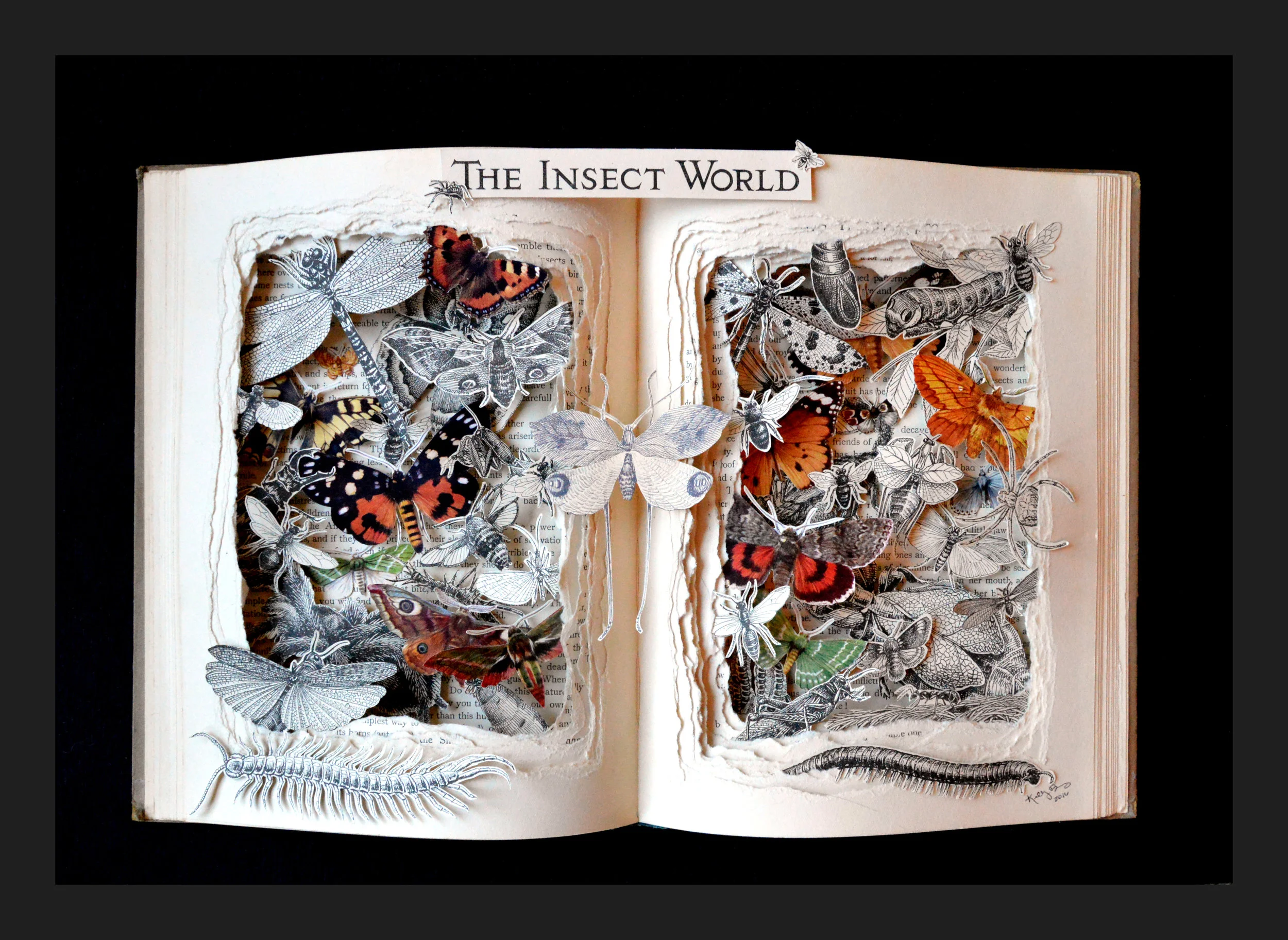 InsectWorld1.jpg