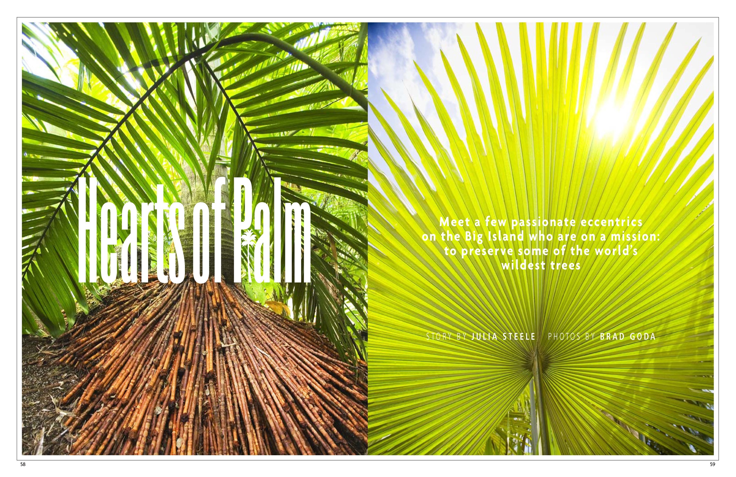 Palms test.jpg