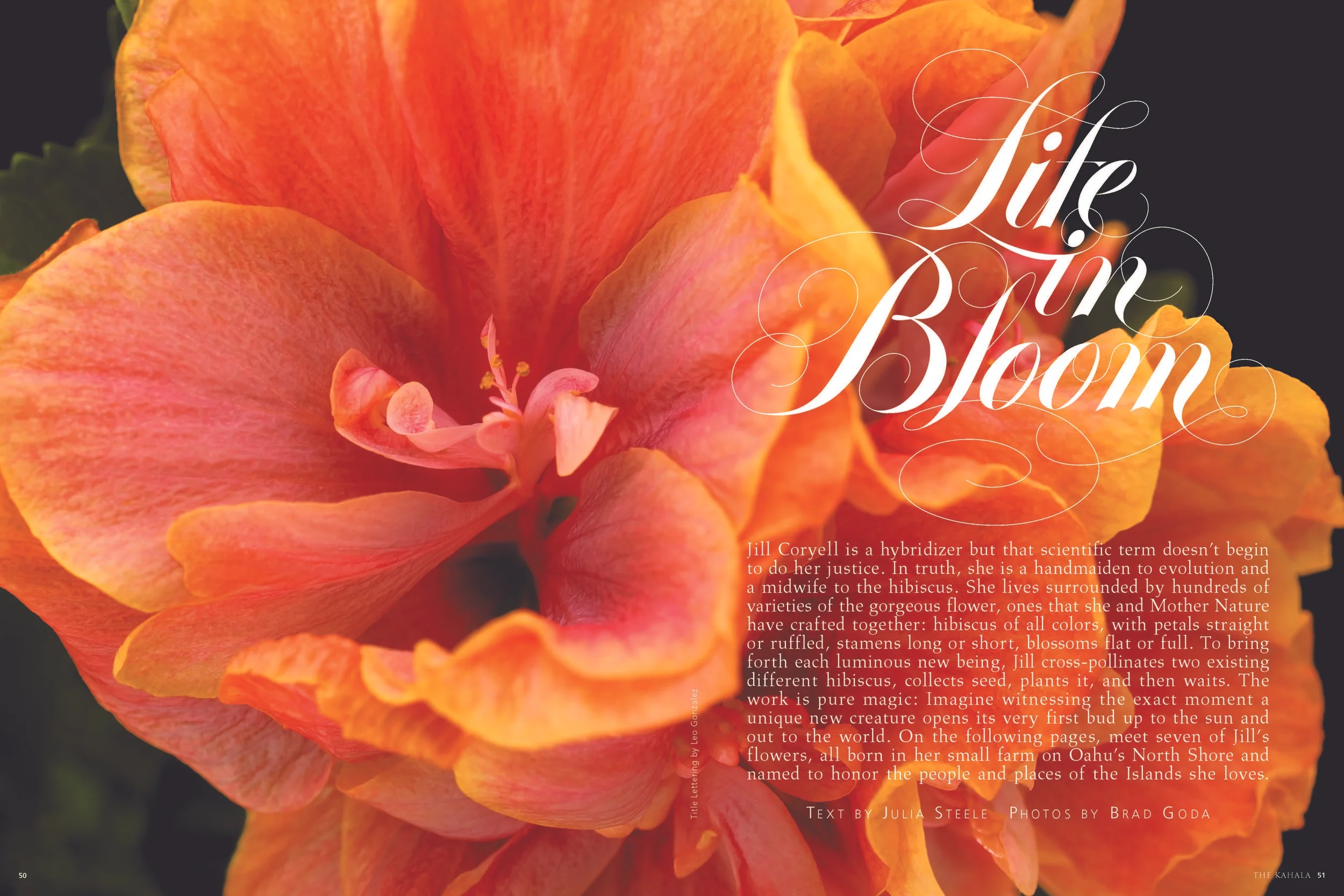 LifeInBloom website_Page_1.jpg