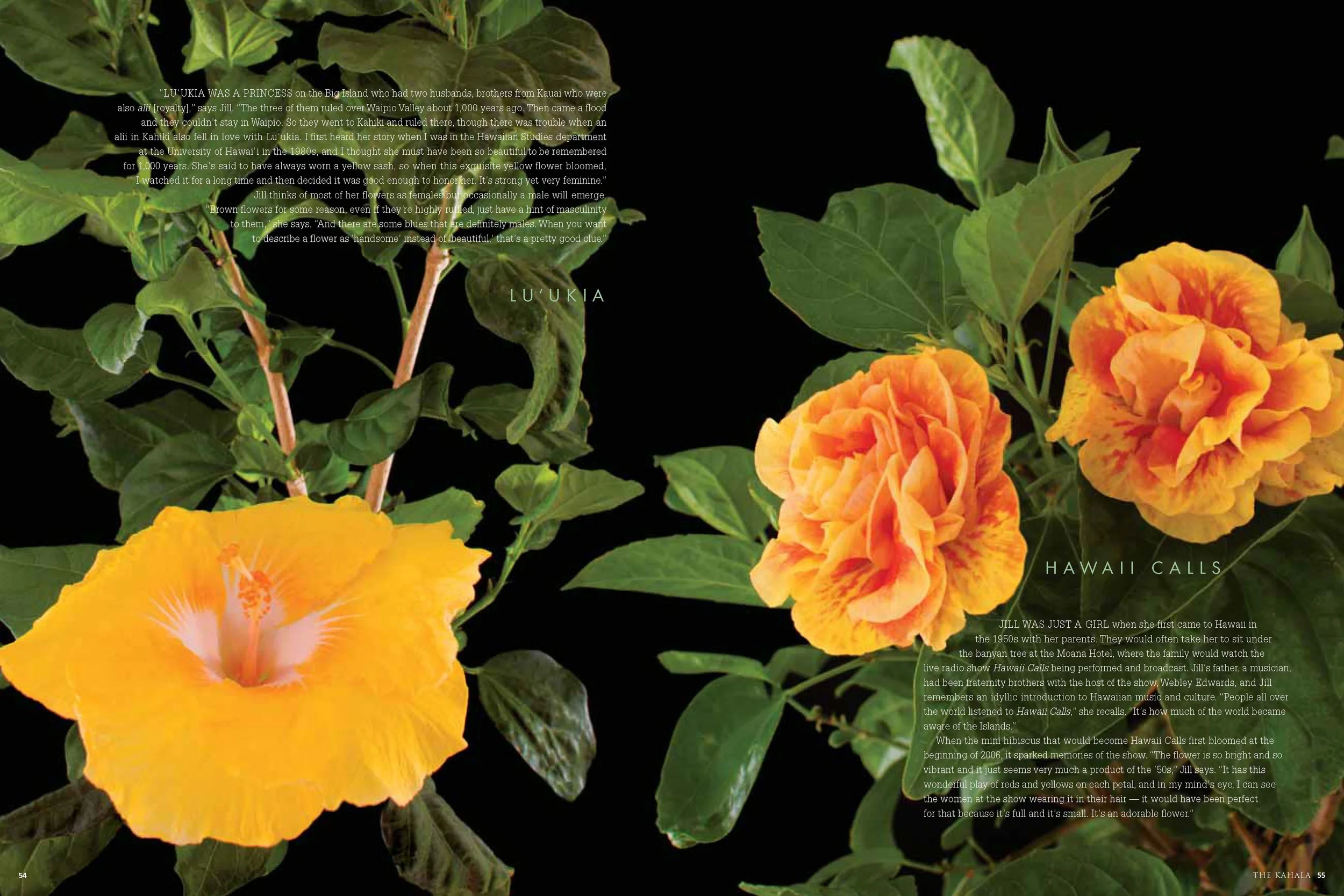 LifeInBloom website_Page_3.jpg