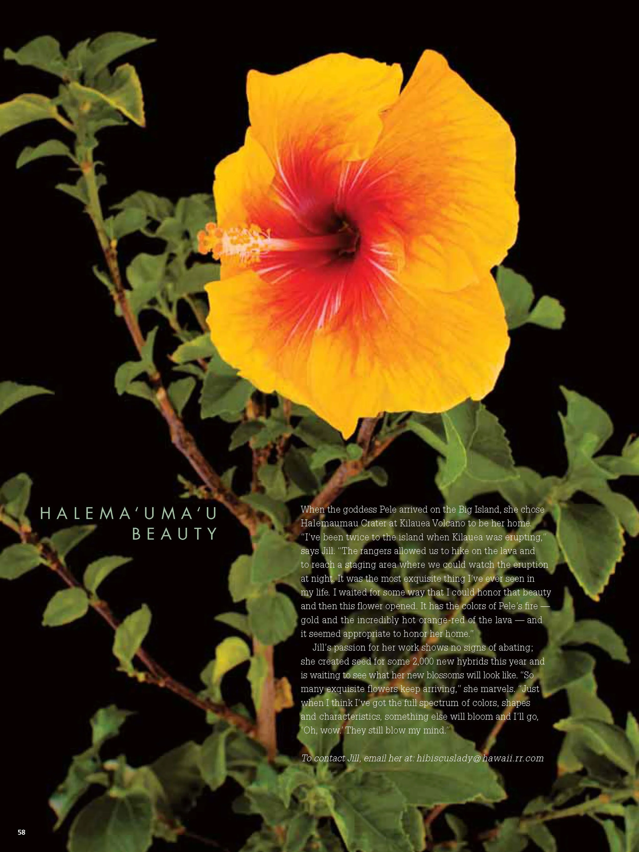 LifeInBloom website_Page_5.jpg