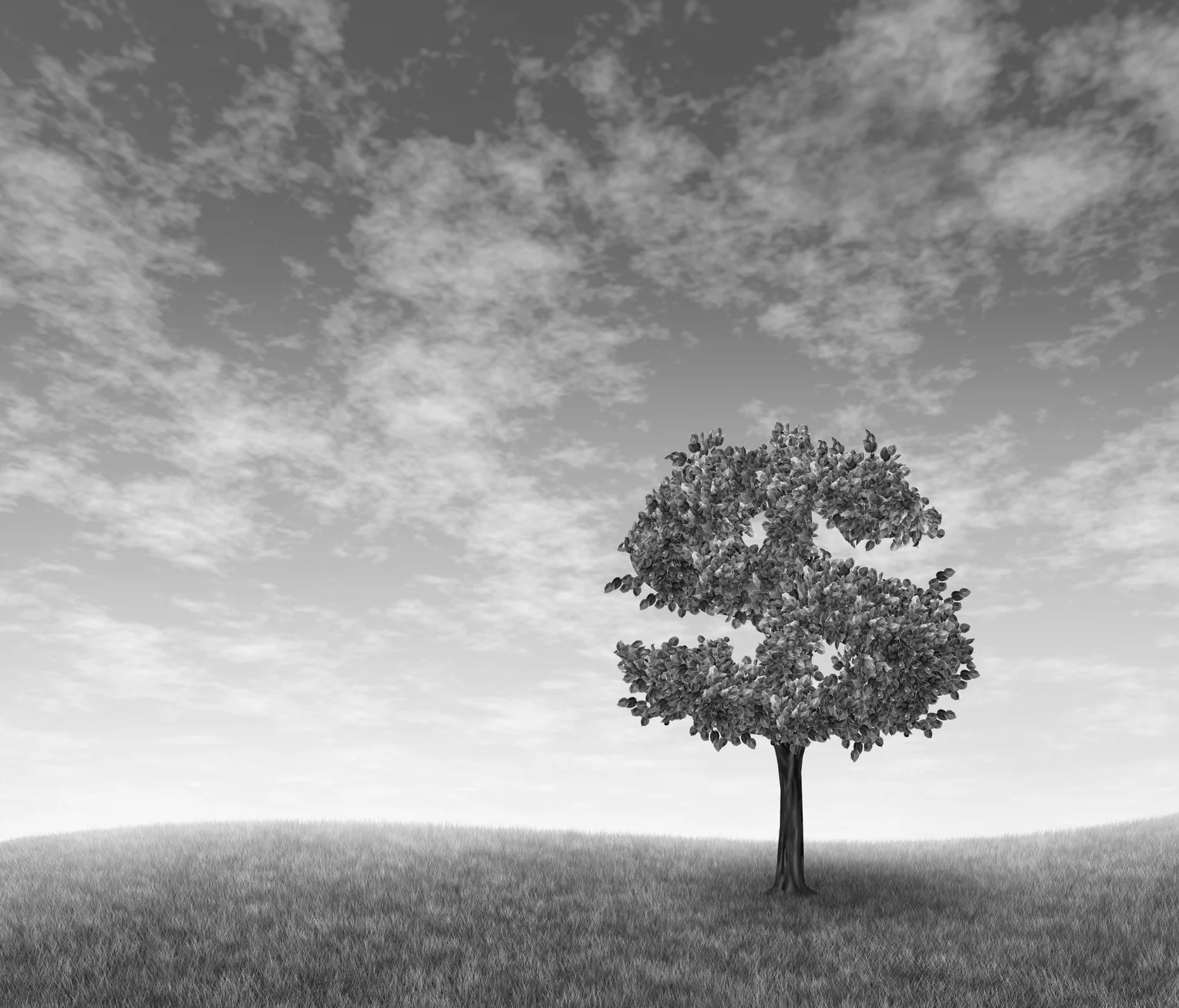 Money Doesn't Grow on Trees