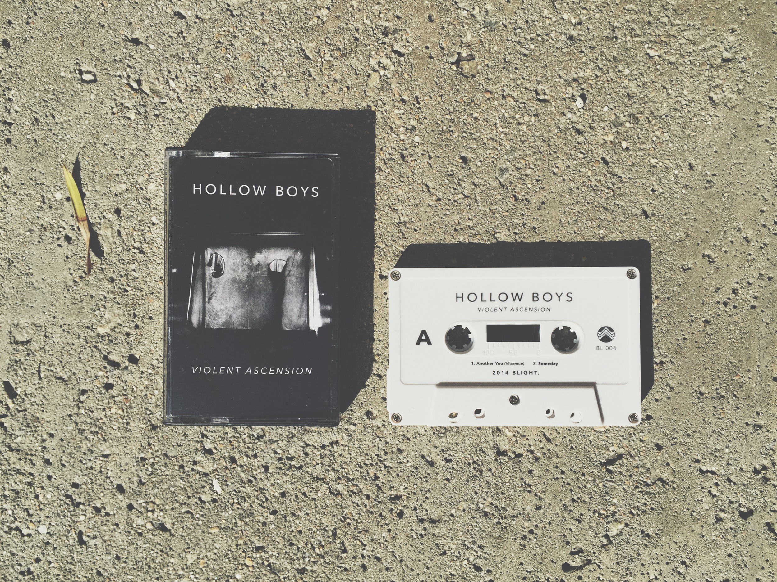 02. Hollow Boys - Violent Ascension.jpg