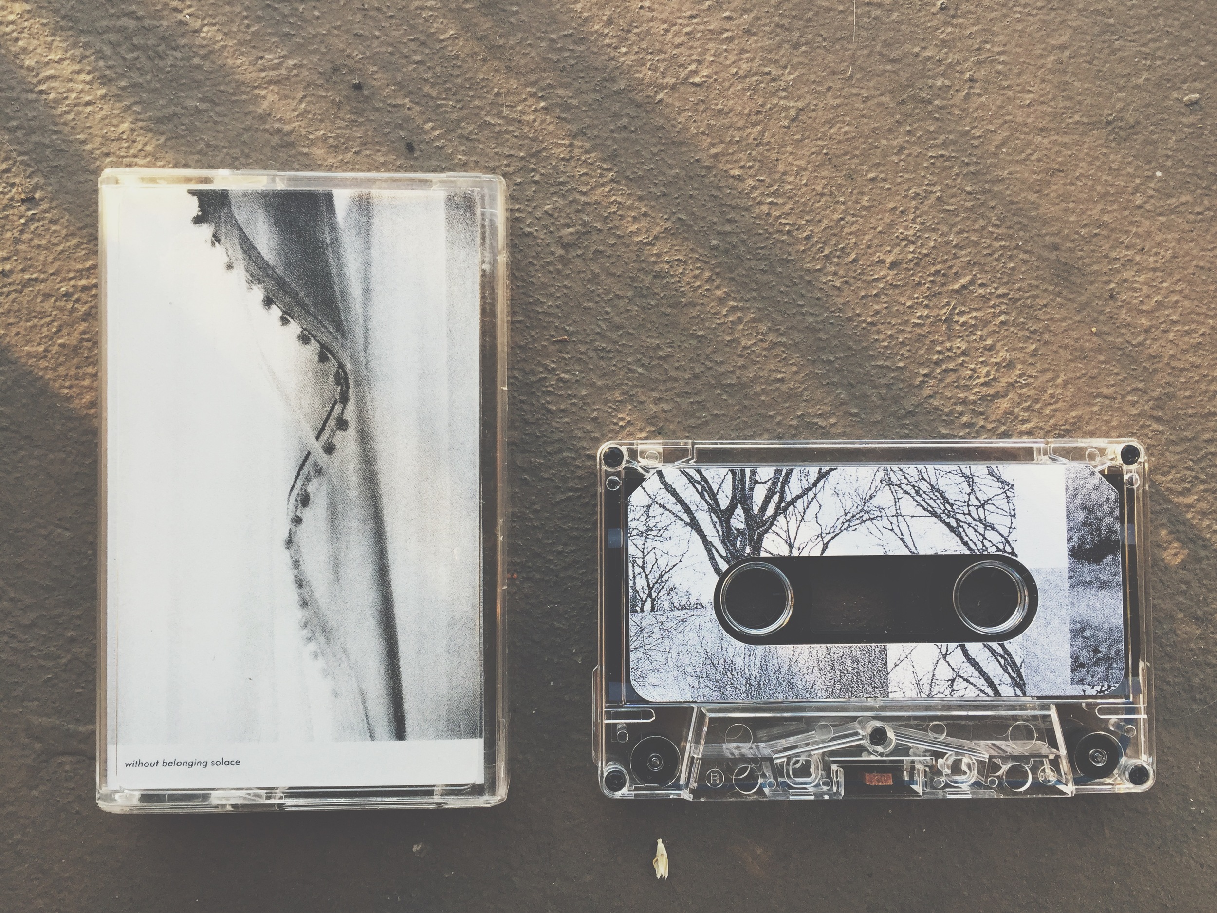 6. Without Belonging - Solace.jpg