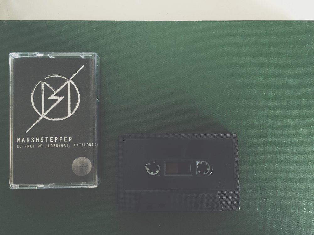 03 Marshstepper .jpg