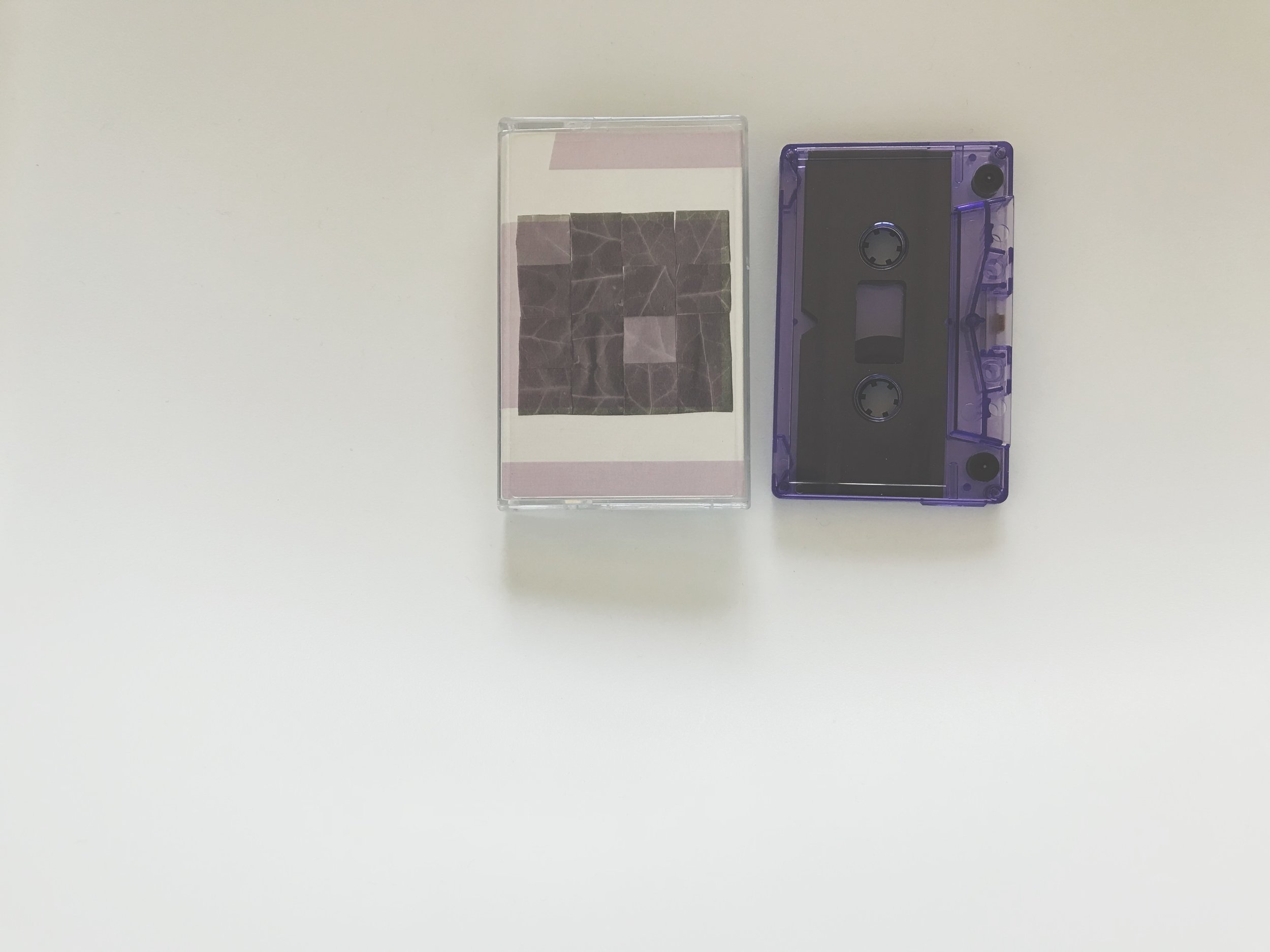 Tüth / Heinali - Heteroticisms Volume 1 (Land Animal Tapes / Kotaktu Collective)