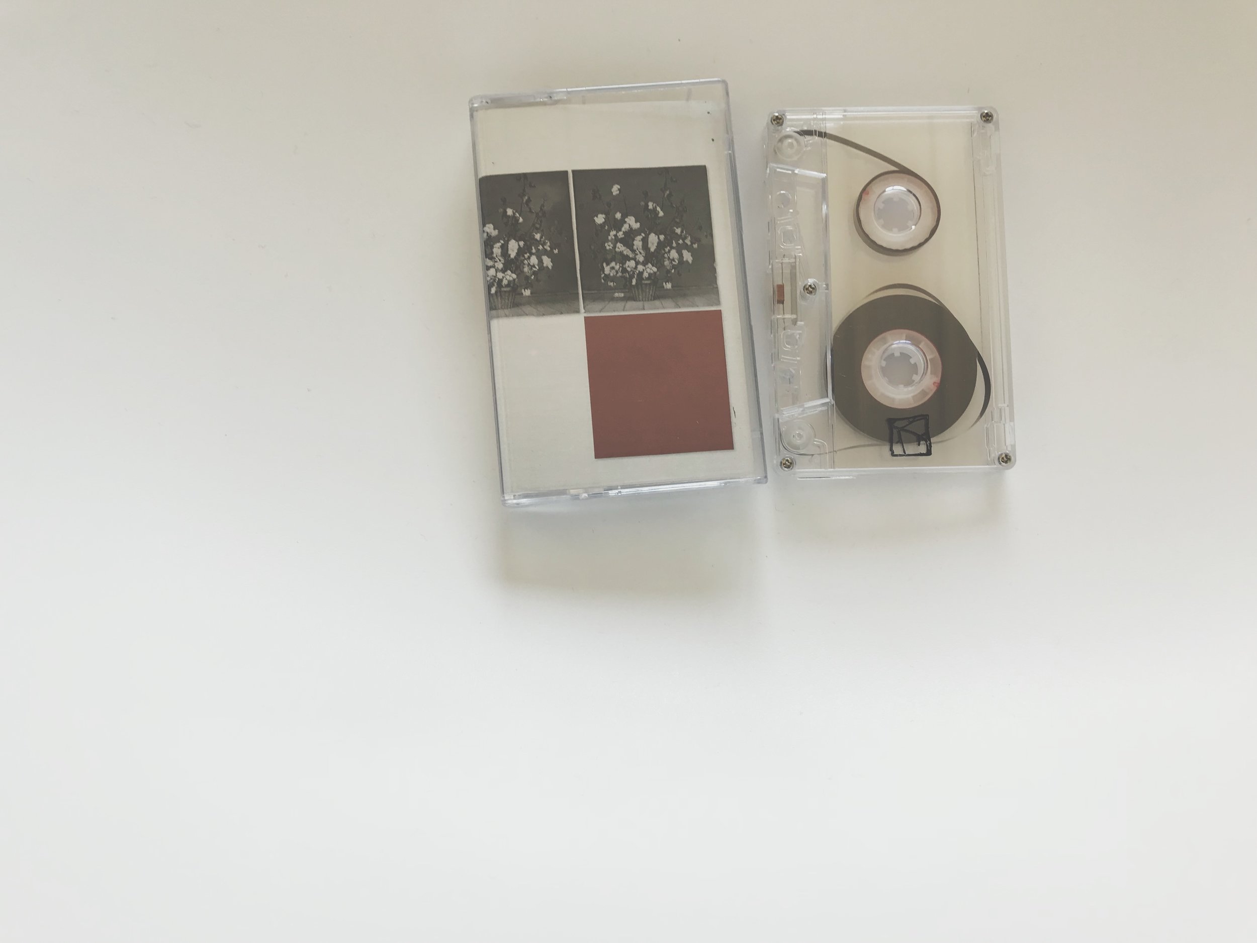 Aidan Baker & LÃ¤rmschutz - Heteroticisms Volume 4 (Land Animal Tapes / Kotaktu Collective)