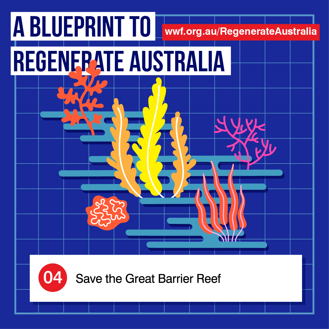 WWF REGENERATE AUSTRALIA — Stuart Holmes