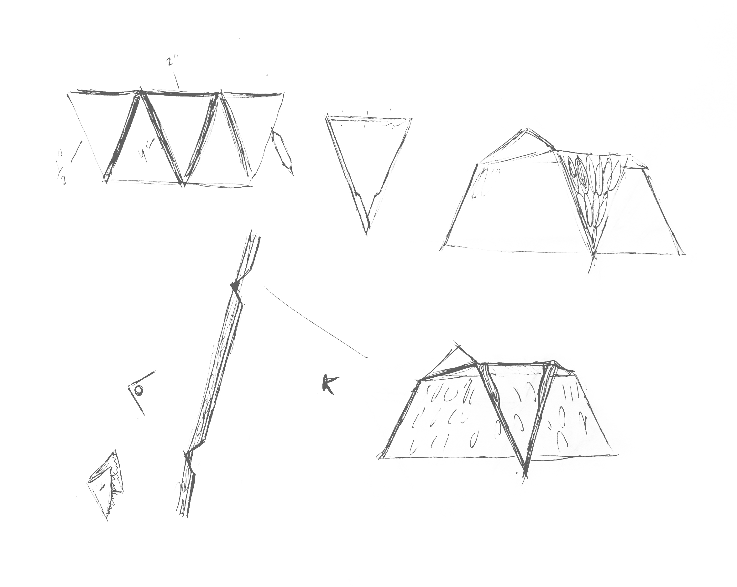 COCONUT CANOPY_sketches.jpg