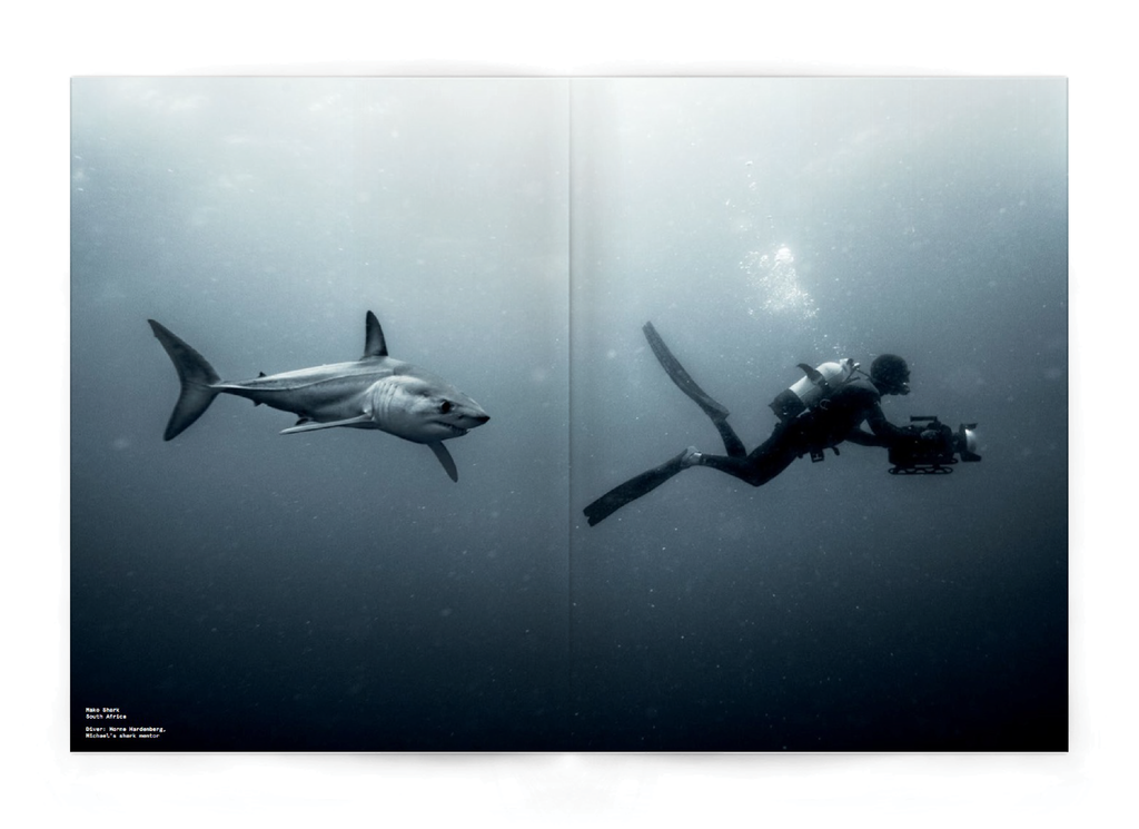 Issue_03_Ecommerce_Previews-02_1024x1024.png