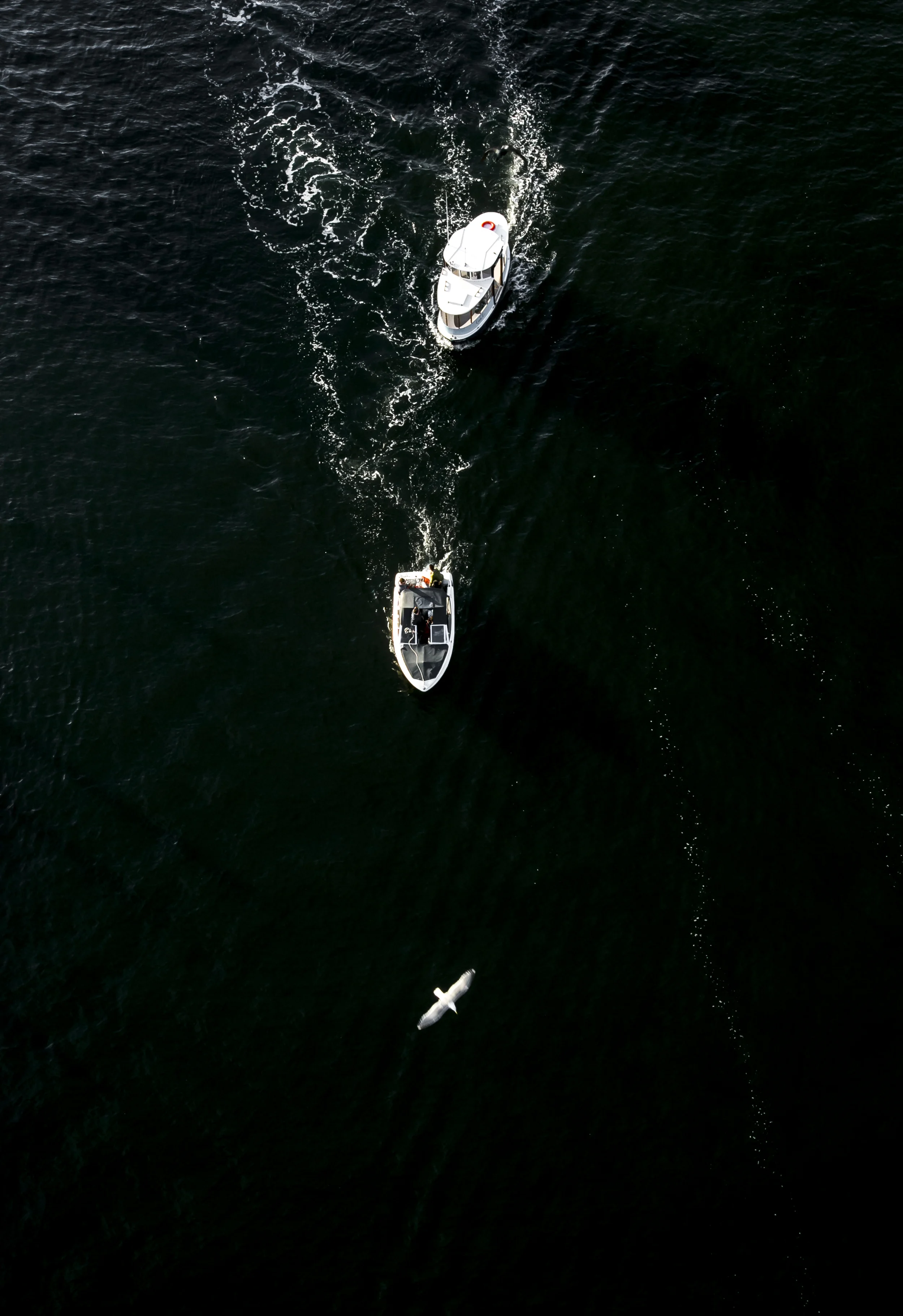 JWP_Vancouver-2306.jpg